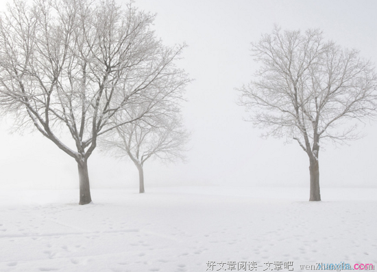 描写小湖的经典句子