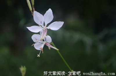 比一个人吃火锅更寂寞的事情是什么？