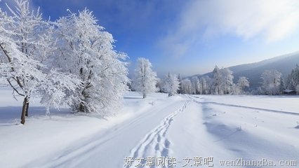 最全的连城雪经典语录