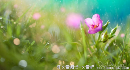 伤感的语句摘抄_关于伤感的语句