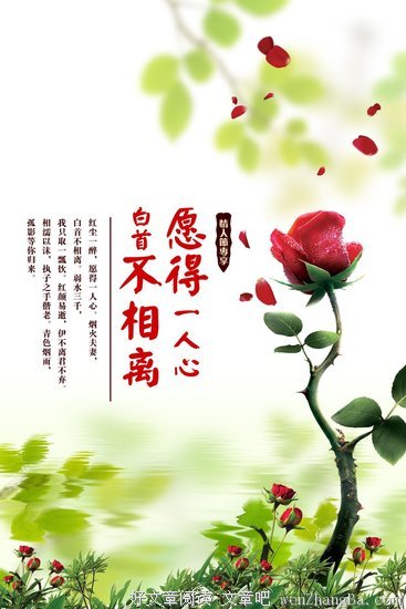 不相上下的名句_关于不相上下的名句