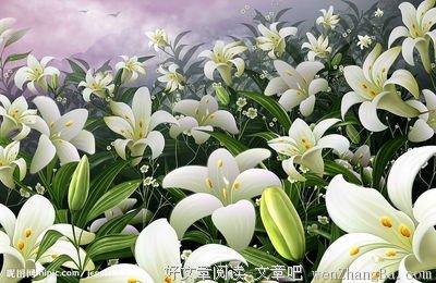 关于含苞欲放的语句