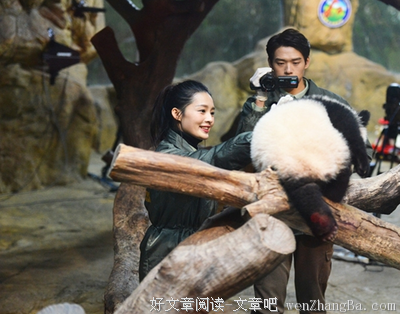 余文乐结婚，新娘为什么不是周冬雨？