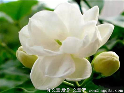 “穷不走亲，富不回乡”，说的太现实了