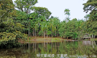 南美洲读后感精选10篇