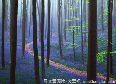 关于始于足下名言名句