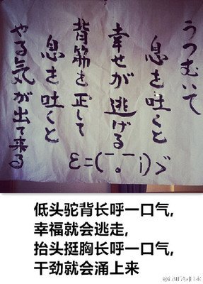 最经典的涤华禅师的名言名句