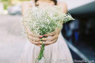 有关清泠的美句摘抄