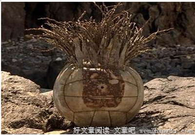 《奇幻人生》的观后感10篇