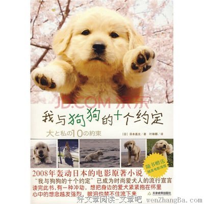 我与狗狗的十个约定读后感10篇
