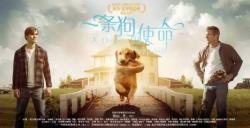 忠犬八公的名句_关于忠犬八公的名句