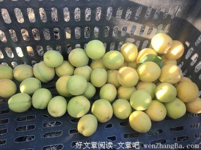 透过AR看中国，2018从未如此触手可及