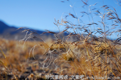 来访者的心里有一片无人区，咨询师如何是好