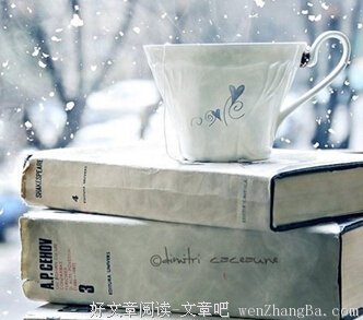《享乐主义手册》读后感10篇