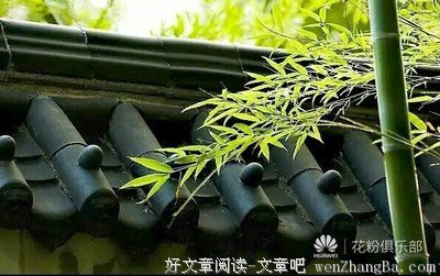 百无一用是深情,不屑一顾最相思