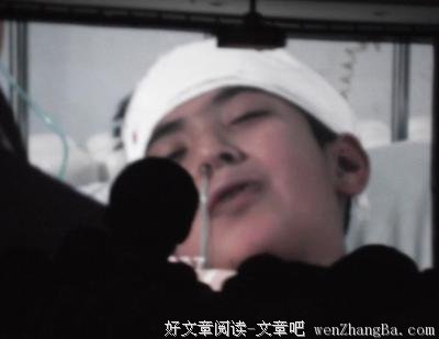 大爱晚成的读后感10篇