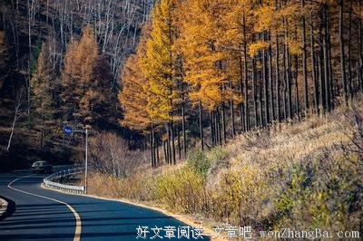 王安忆经典语录