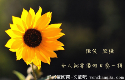 关于超世之才的唯美语录