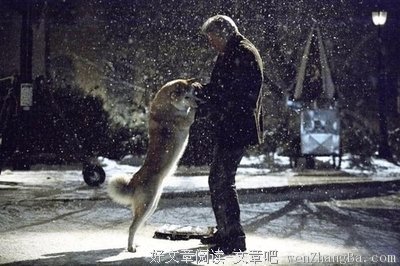 最经典的《无声告白》好段摘抄