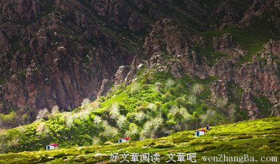 托里格言警句