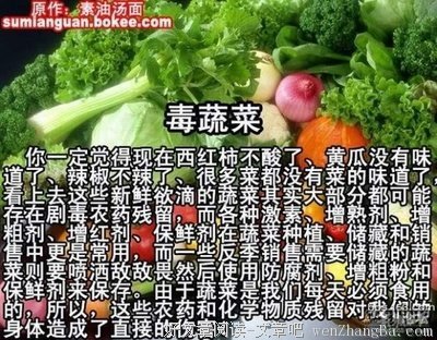 关于民以食为天的名句摘抄