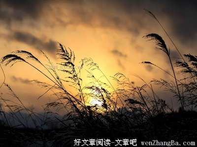 尽力而为格言警句