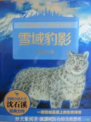 《现在开始，与自己和平相处吧》读后感精选10篇