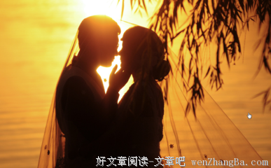 心仪已久的句子