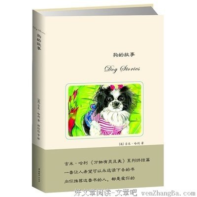 吉米·哈利经典句子