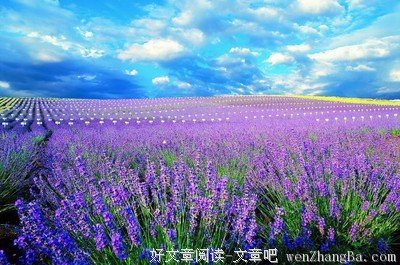 黯然失色的名句_关于黯然失色的名句
