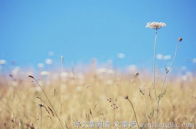 一败涂地的句子