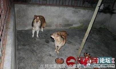 挽回前任时，请口下留情！
