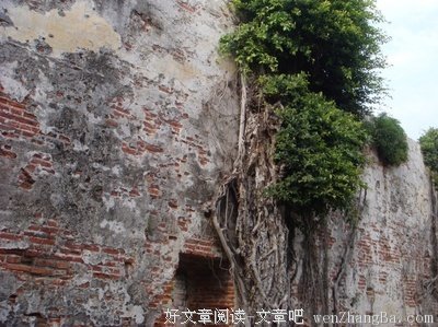 《游》经典观后感10篇