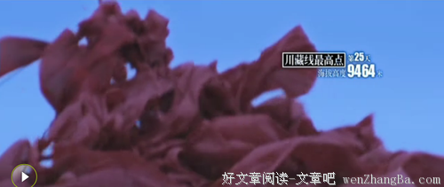 《转山》影评10篇