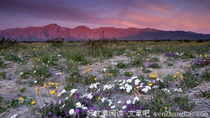 锱铢必较的名句_关于锱铢必较的名句