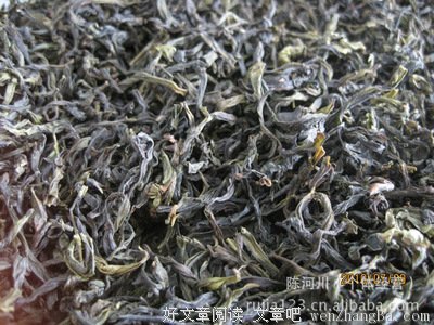 15条关于高扬的经典语句