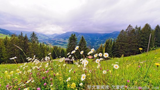 吴彦祖回归建筑师，和他在山里盖了一栋房子。
