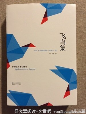 关于人云亦云的语句
