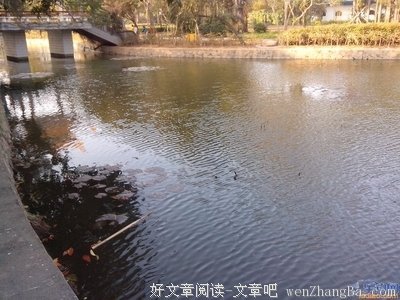 风筝往高飞，筝粉永相随！