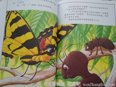 《学习毛毛虫》读后感10篇
