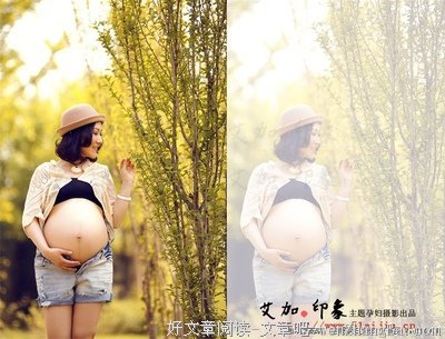 《原乡》的观后感10篇