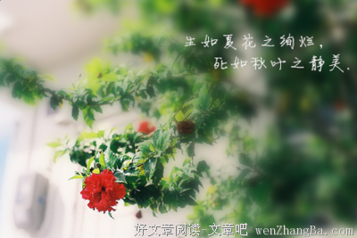关于坚决的格言