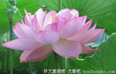 关于高风的名言