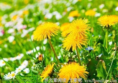斗志昂扬的句子