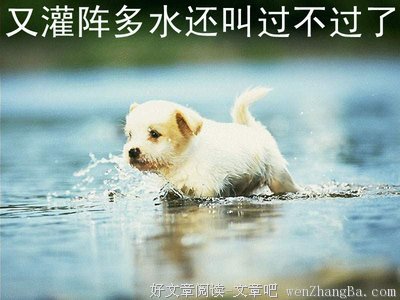 最新的《博客》语录摘抄