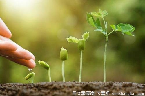 那些自律到极致的人，都拥有了开挂的人生
