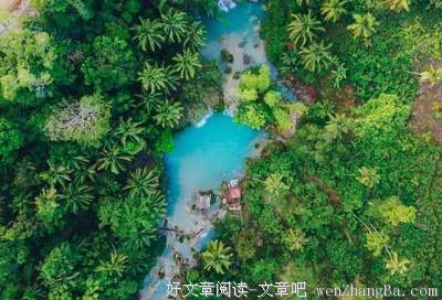 关于曼妙的语句