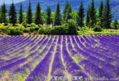 关于善良的名言