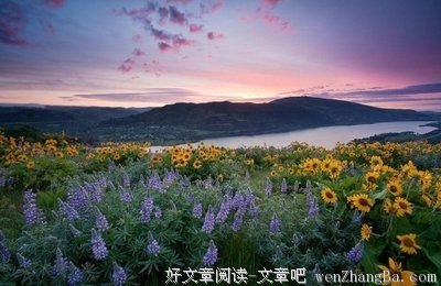 你好，我的孤独是一座花园