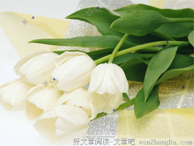 《真爱并非运气，被爱是种实力》经典语句